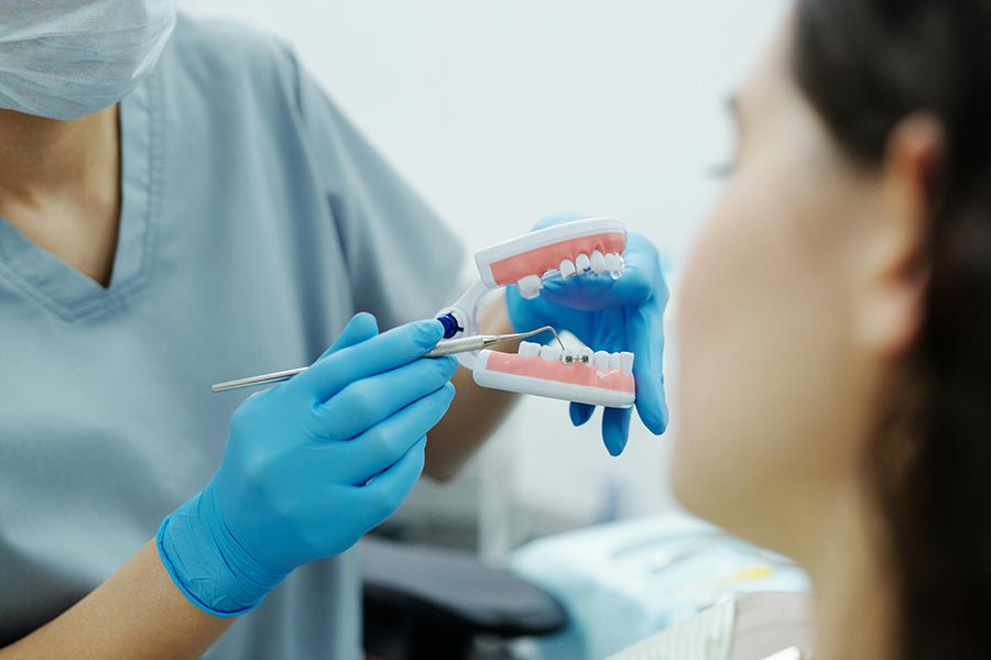 Dentystka pokazuje kobiecie model szczęki