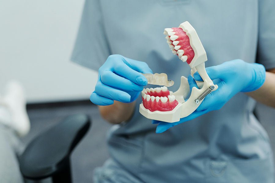 Dentystka trzyma w rękach sztuczną szczękę. Jak umyć ją z pomocą myjki ultradźwiękowej?