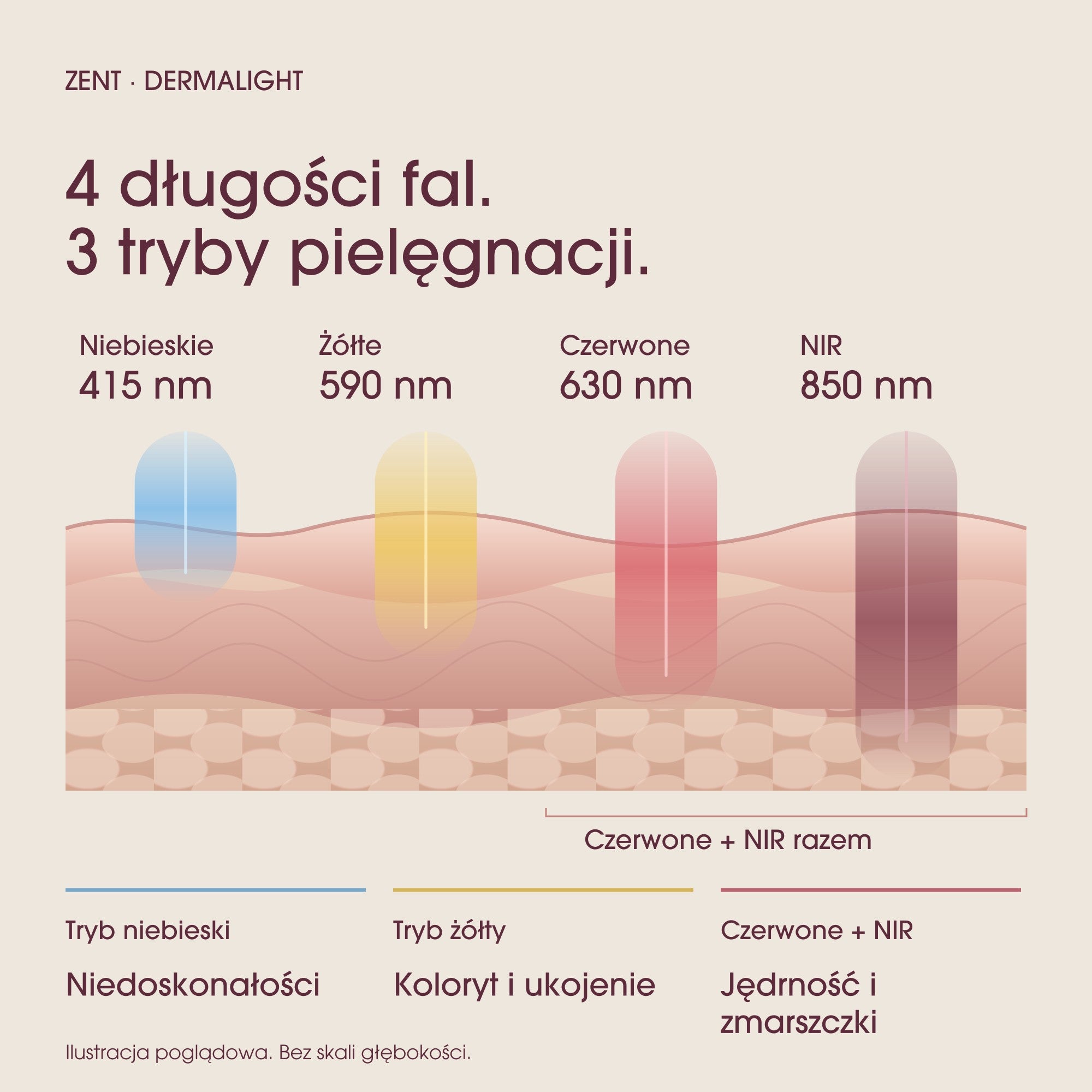 Cztery długości fal DermaLight: 415, 590, 630 i 850 nm. Trzy tryby, czerwone i NIR działają razem. Poglądowy przekrój skóry.